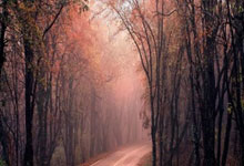 乐鱼体育官网app-摩纳哥客场战平对手，保住宝贵一分