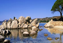 乐鱼体育培训-挑战终结失败，重燃希望之火——团队再出发，迎接新赛季的荣耀战斗