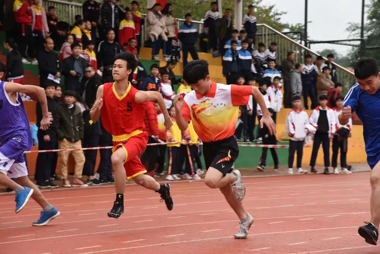 瑞典选手勇往直前，勇夺桂冠的简单介绍