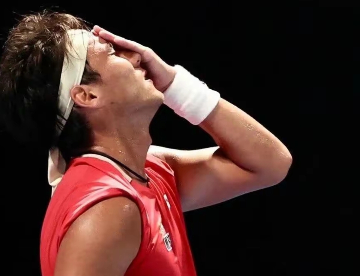 瑞典选手惨败，三球失守心情低落的简单介绍